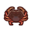 acnh crabe de dungeness