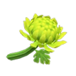 acnh chrysantheme verte