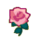 acnh rose rose