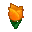 acnh tulipe orange